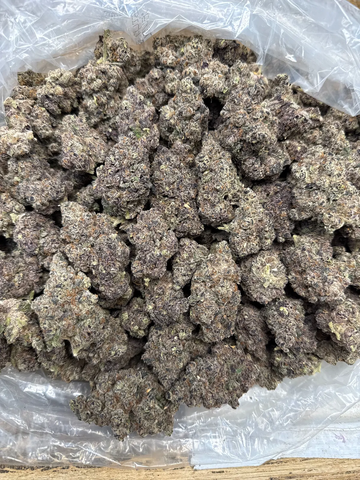 Baja Blasteroid Flower